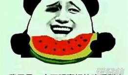 今日吃瓜 吃瓜是什么意思,网络流行语背后的趣味与内涵